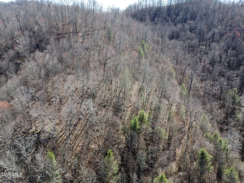 Photo #54: Tbd Bull Run Road