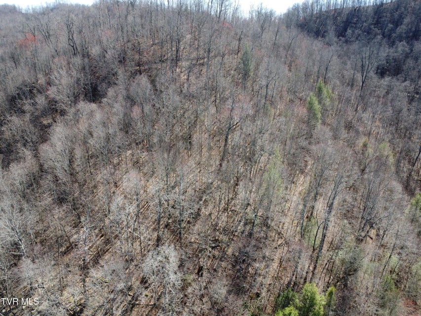 Photo #55: Tbd Bull Run Road