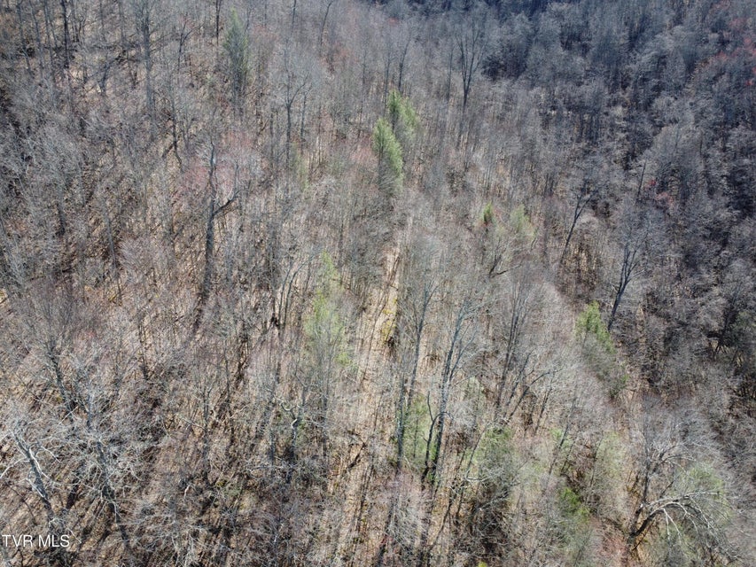 Photo #56: Tbd Bull Run Road