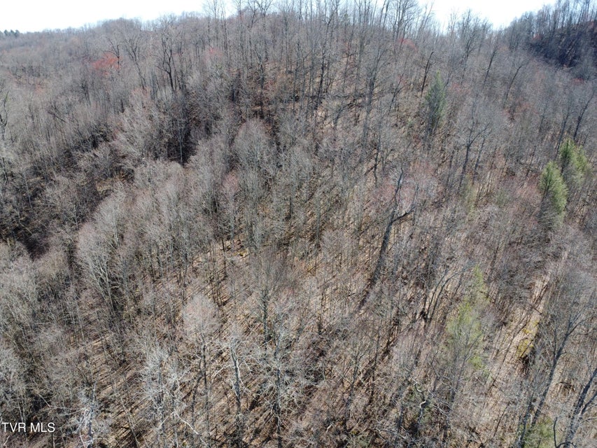 Photo #58: Tbd Bull Run Road