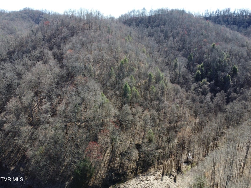 Photo #60: Tbd Bull Run Road