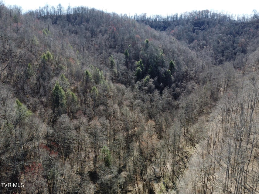 Photo #61: Tbd Bull Run Road