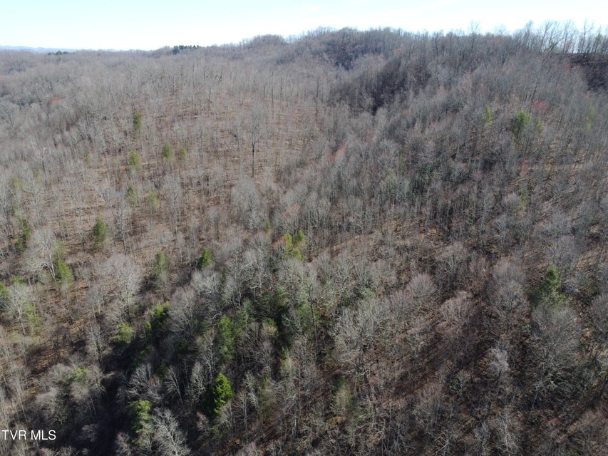 Photo #62: Tbd Bull Run Road