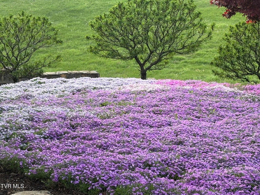 Photo #9: 21580 Moonlight Bay Road