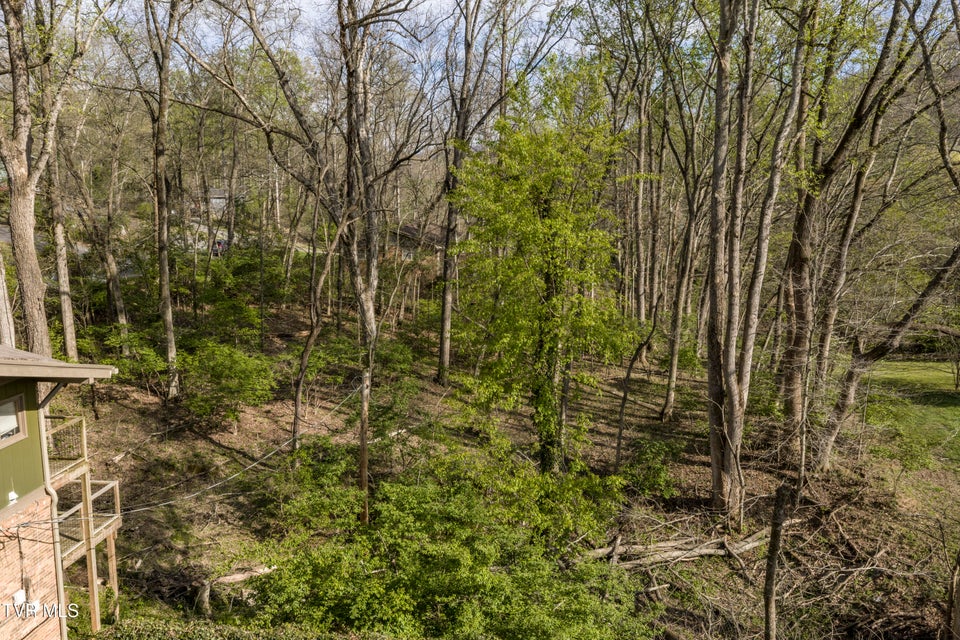 Photo #65: 1823 Woodhaven Drive