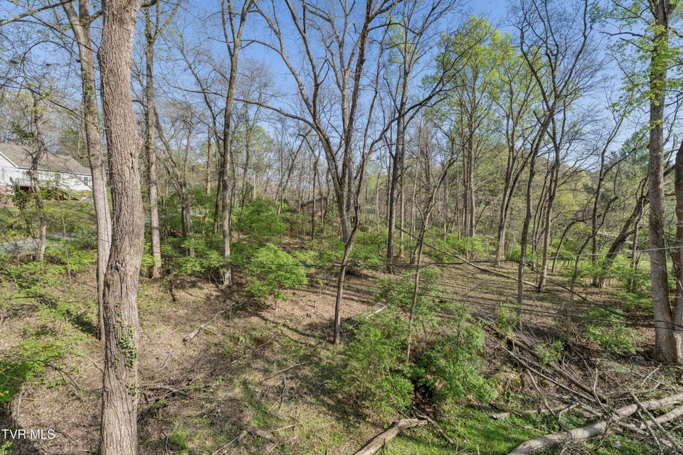 Photo #78: 1823 Woodhaven Drive