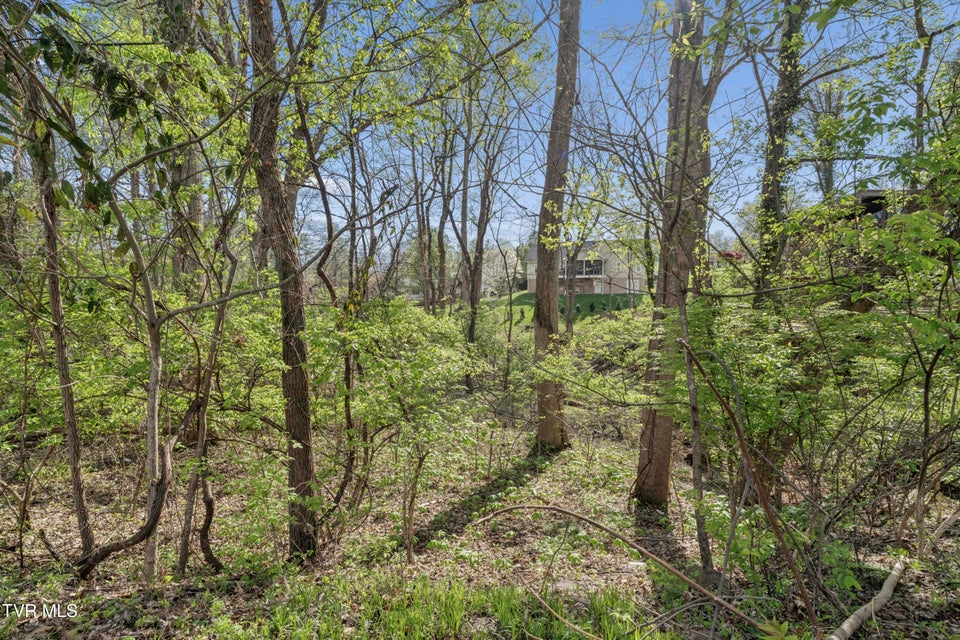 Photo #79: 1823 Woodhaven Drive