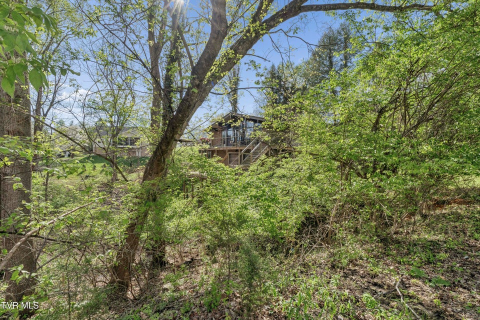 Photo #80: 1823 Woodhaven Drive