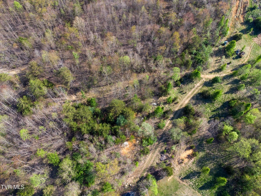 Photo #5: Tbd King Mill Pike 