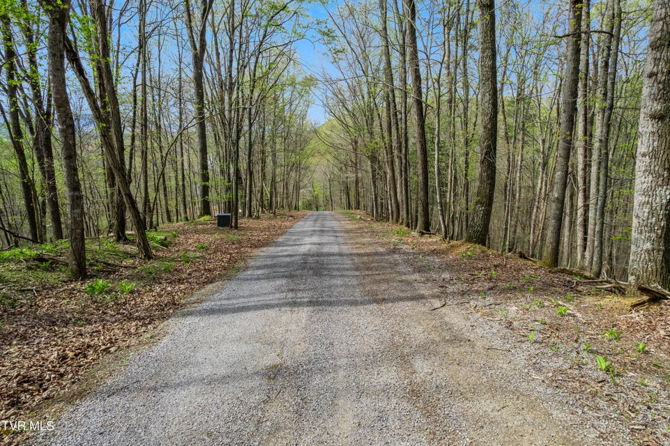 Photo #38: Tbd Clemmer Drive