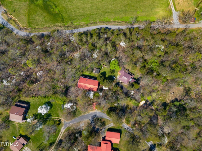 Photo #60: 158 Dalson Road