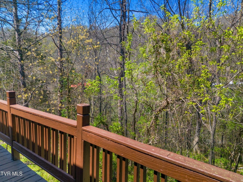 Photo #7: 158 Dalson Road