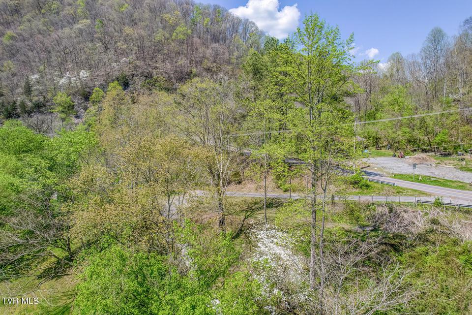 Photo #45: 186 Clinch River Highway