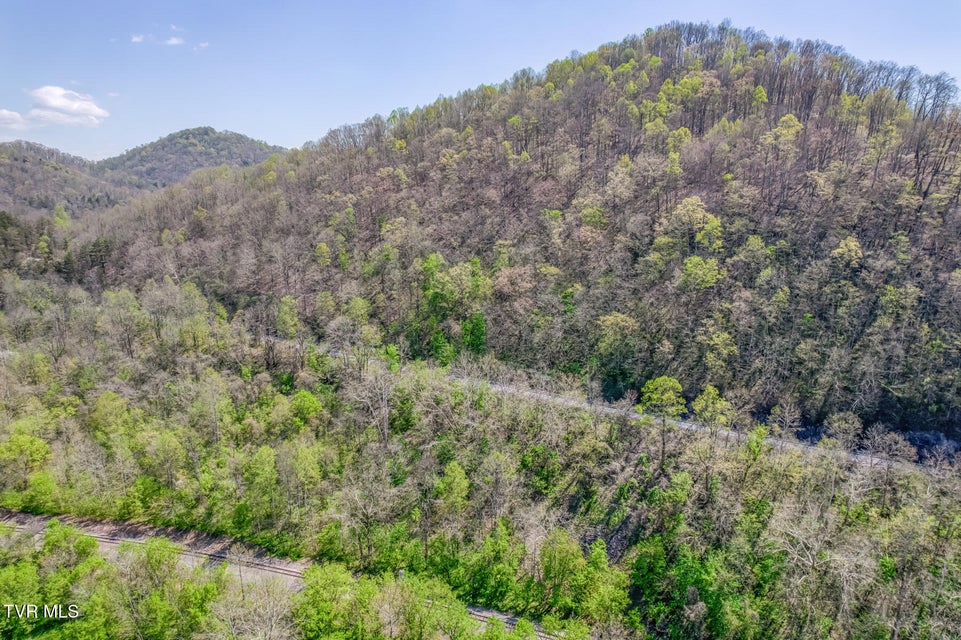 Photo #47: 186 Clinch River Highway