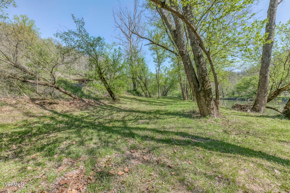 Photo #53: 186 Clinch River Highway