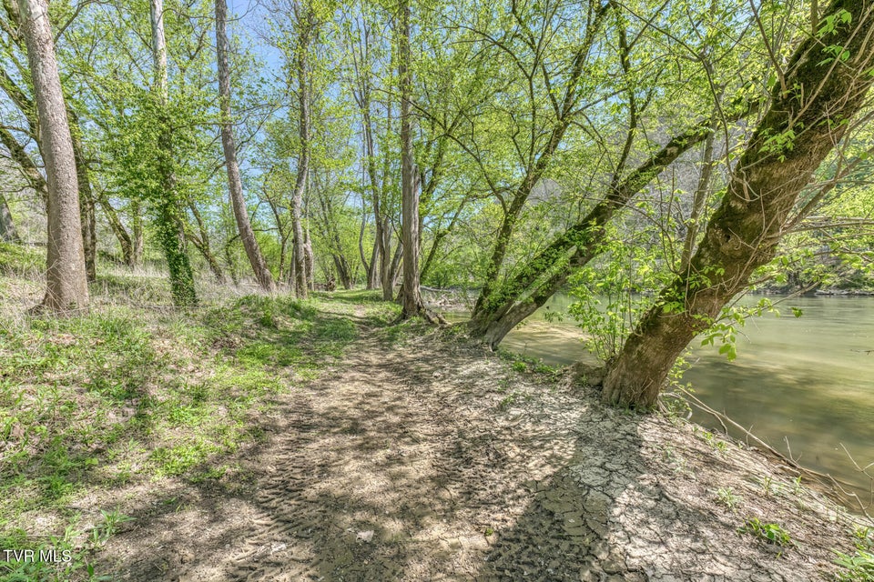 Photo #55: 186 Clinch River Highway