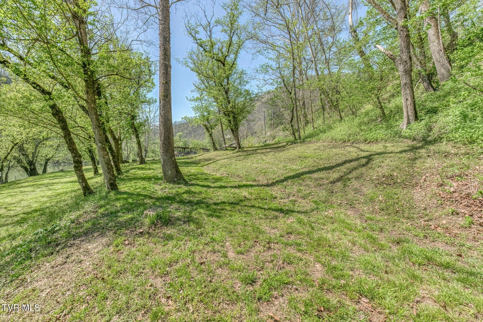 Photo #60: 186 Clinch River Highway