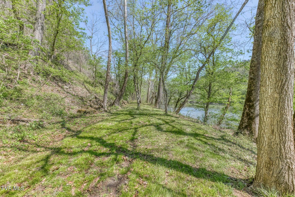 Photo #61: 186 Clinch River Highway