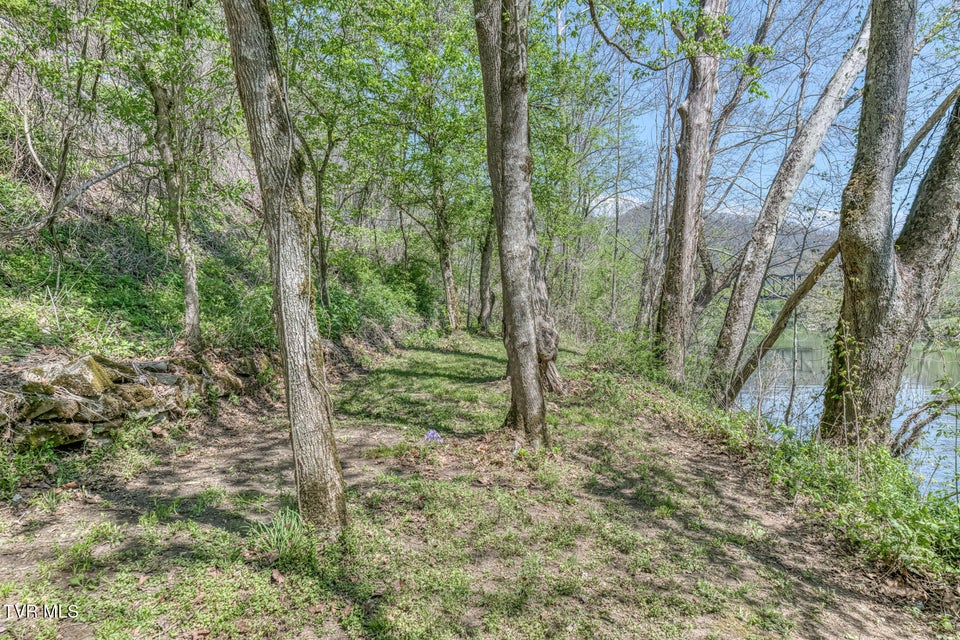 Photo #62: 186 Clinch River Highway