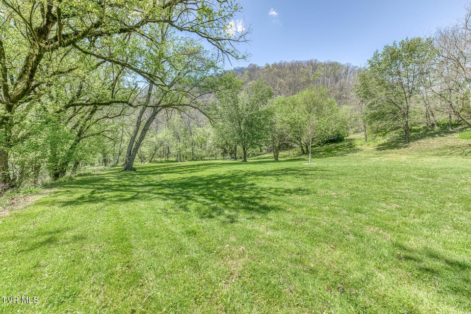 Photo #68: 186 Clinch River Highway