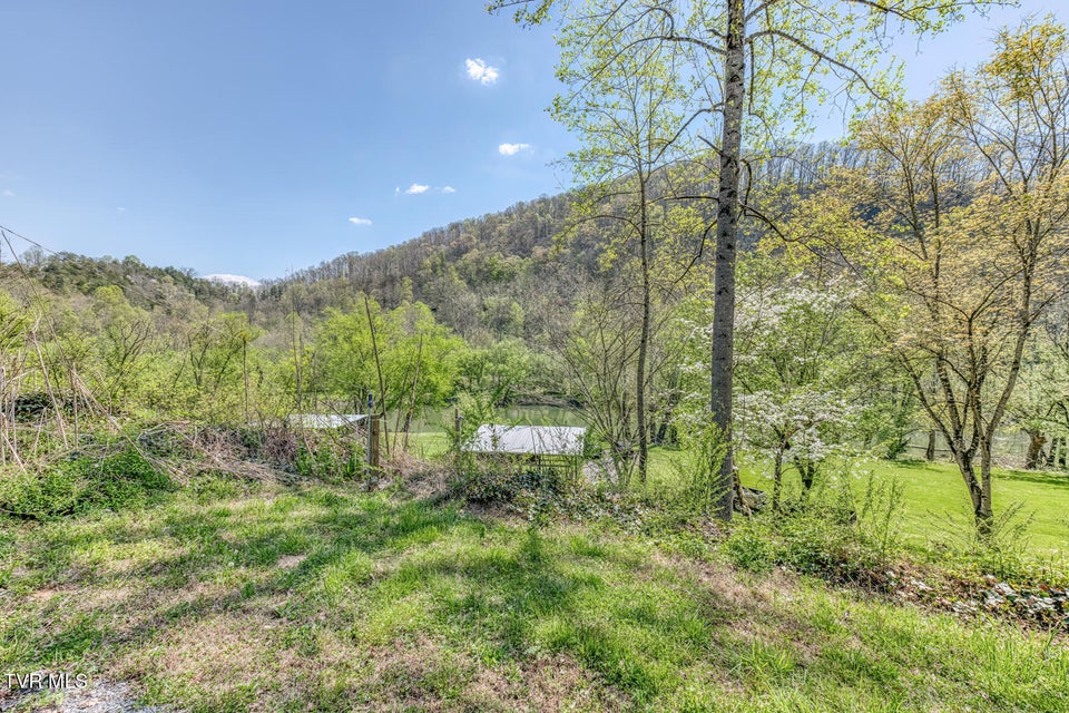 Photo #74: 186 Clinch River Highway