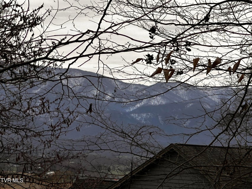 Photo #3: 5ac Clemmer Drive