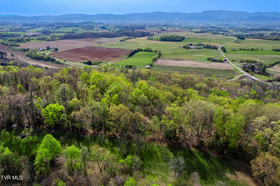 Photo #19: 5ac Clemmer Drive