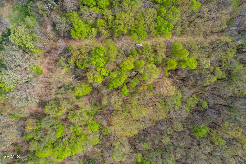 Photo #25: 5ac Clemmer Drive