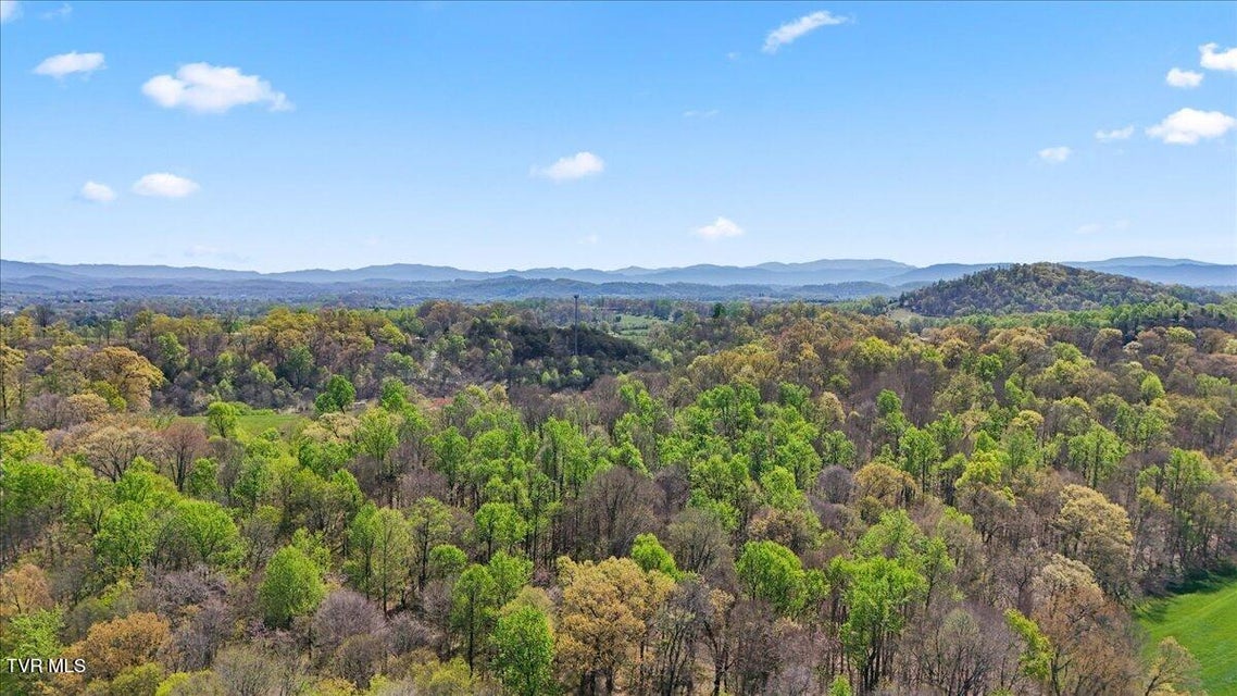 Photo #41: 238 Cedar Valley Boulevard