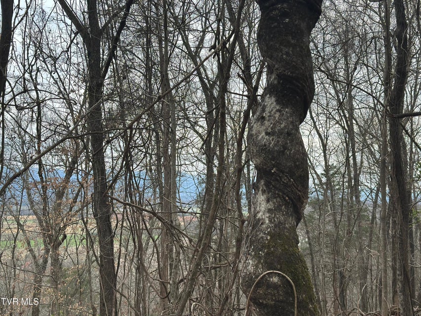 Photo #6: Tbd Clemmer Drive