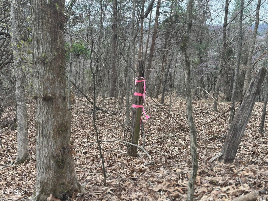 Photo #9: Tbd Clemmer Drive