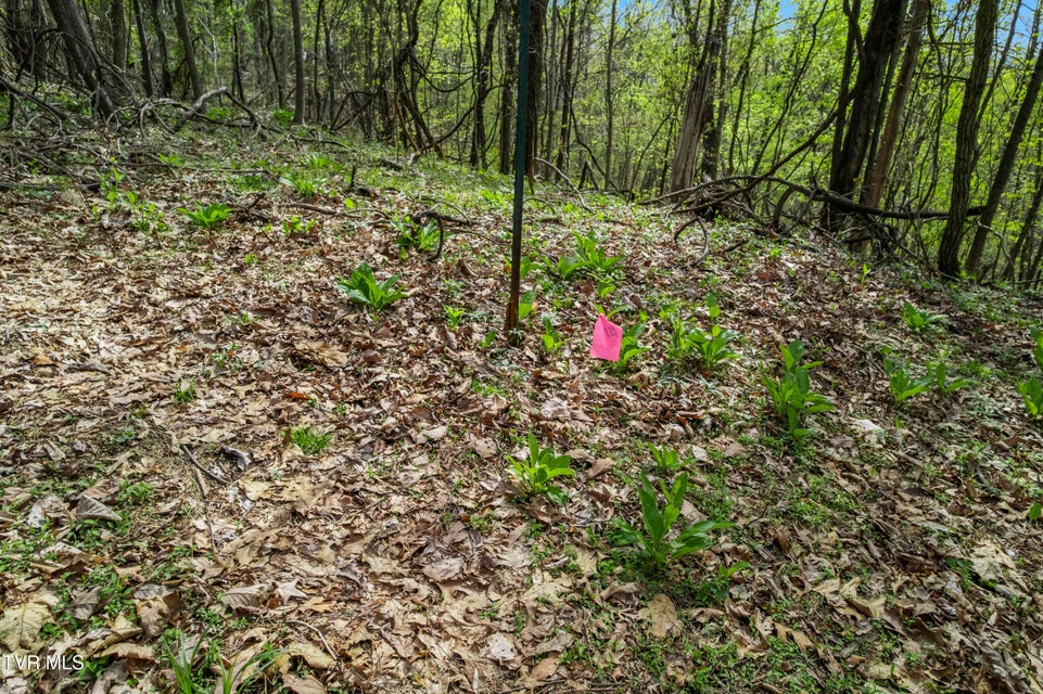 Photo #16: Tbd Clemmer Drive