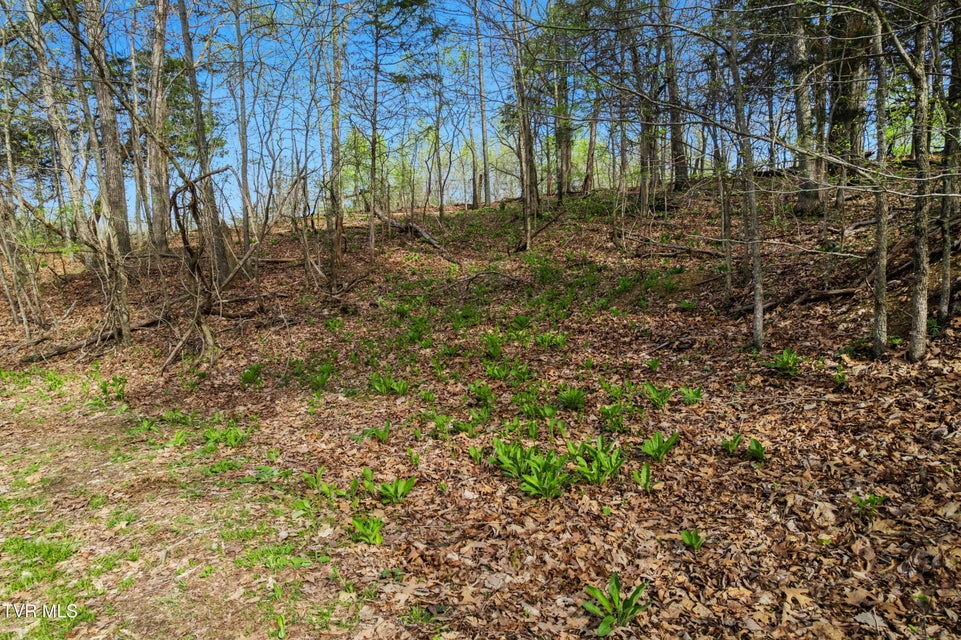 Photo #17: Tbd Clemmer Drive