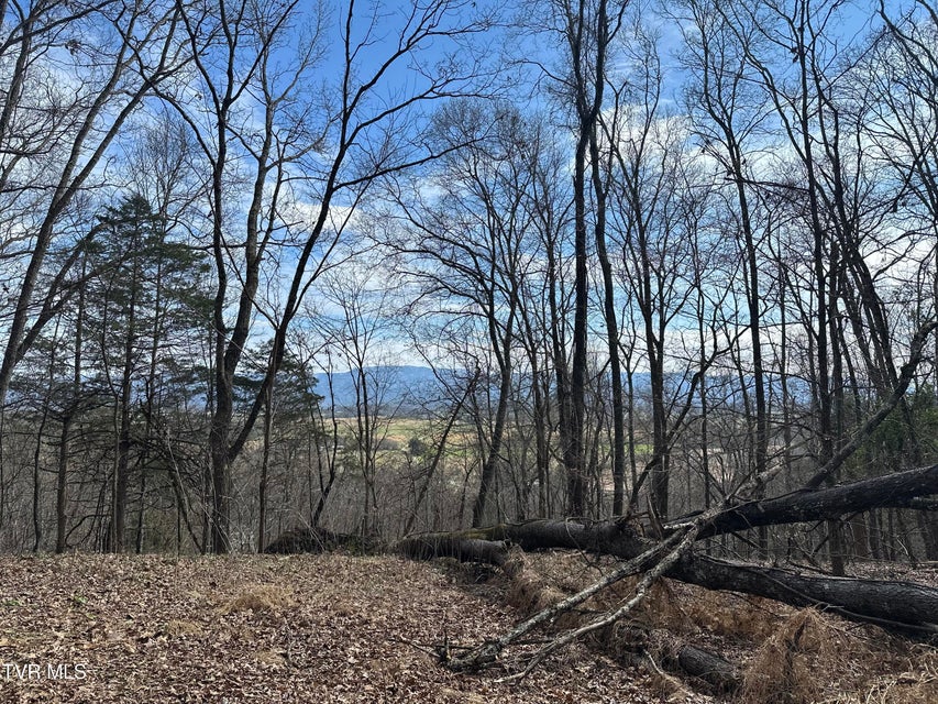 Photo #4: 5ac Clemmer Drive