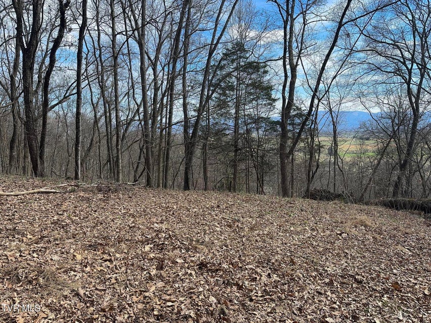 Photo #5: 5ac Clemmer Drive