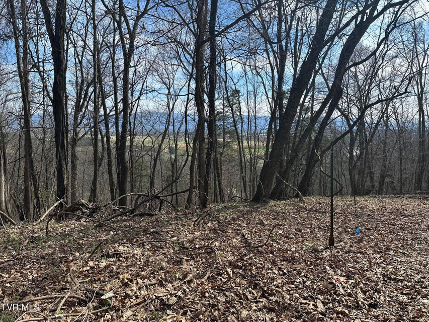 Photo #5: 10ac Clemmer Drive