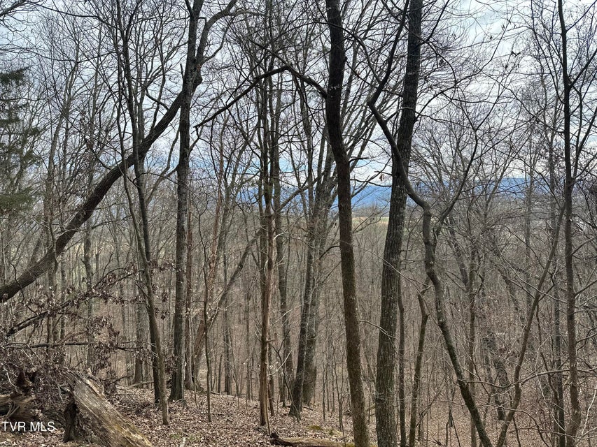 Photo #6: 10ac Clemmer Drive