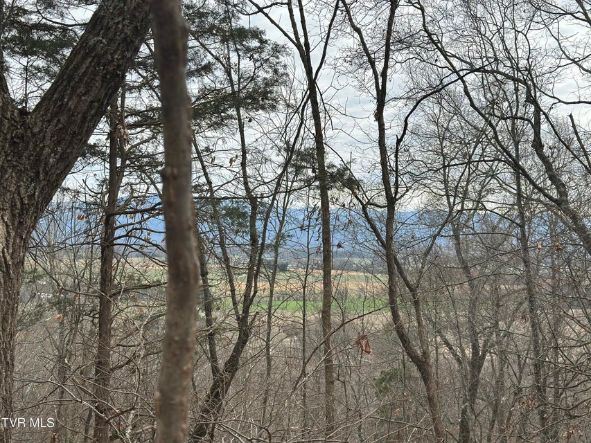 Photo #7: 10ac Clemmer Drive