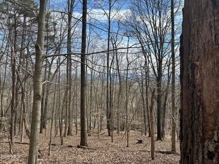 Photo #8: 10ac Clemmer Drive