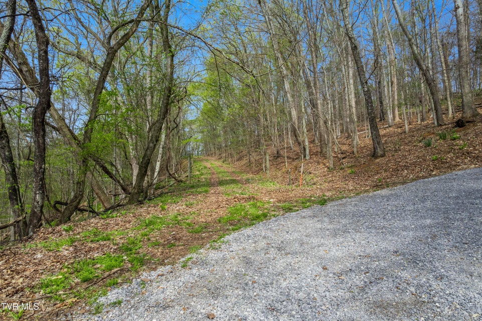 Photo #10: 10ac Clemmer Drive