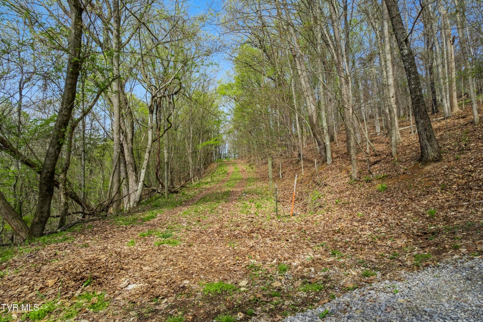 Photo #11: 10ac Clemmer Drive