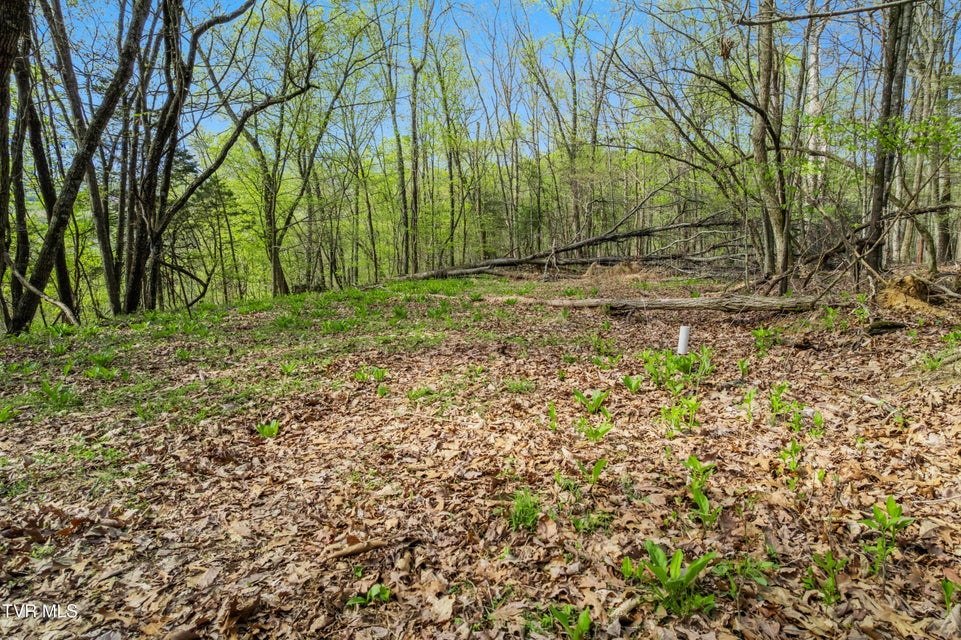 Photo #12: 10ac Clemmer Drive