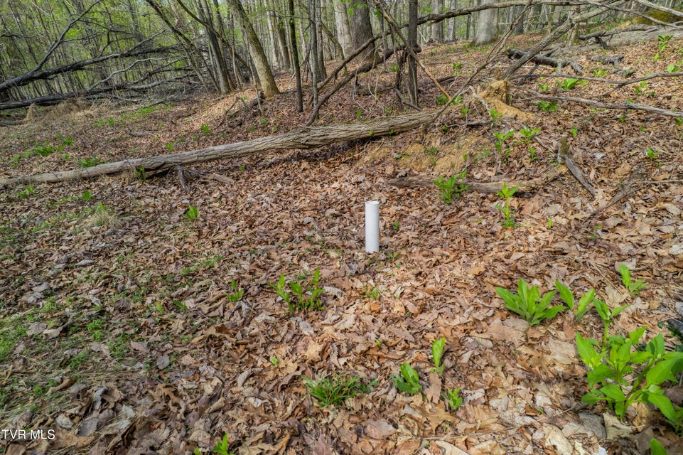 Photo #13: 10ac Clemmer Drive