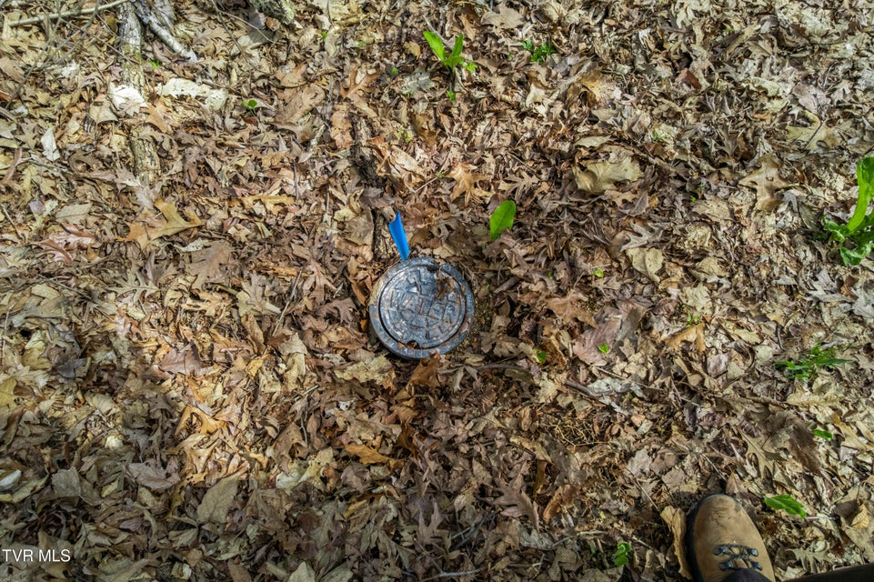 Photo #14: 10ac Clemmer Drive