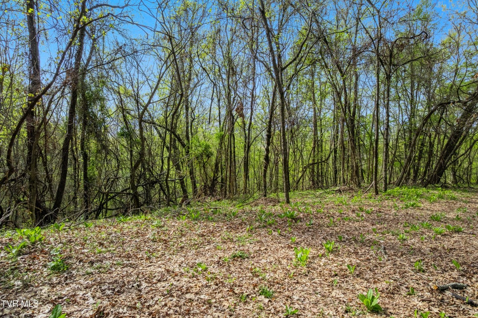 Photo #16: 10ac Clemmer Drive