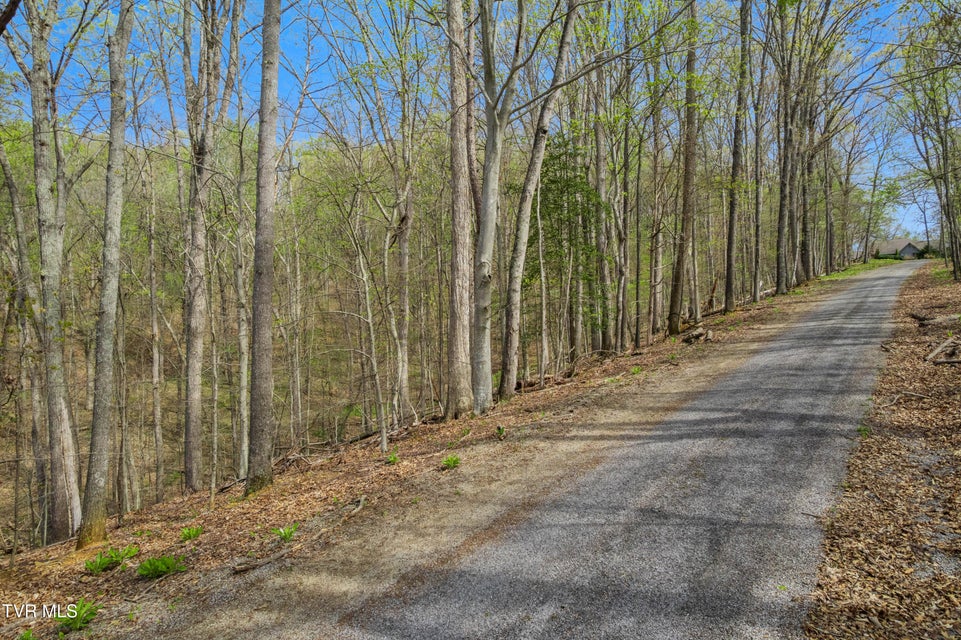 Photo #36: 10ac Clemmer Drive