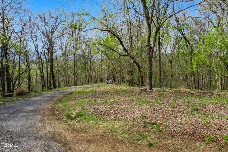 Photo #37: 10ac Clemmer Drive