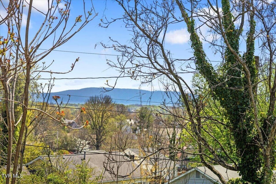 Photo #37: 1068 Prospect Avenue