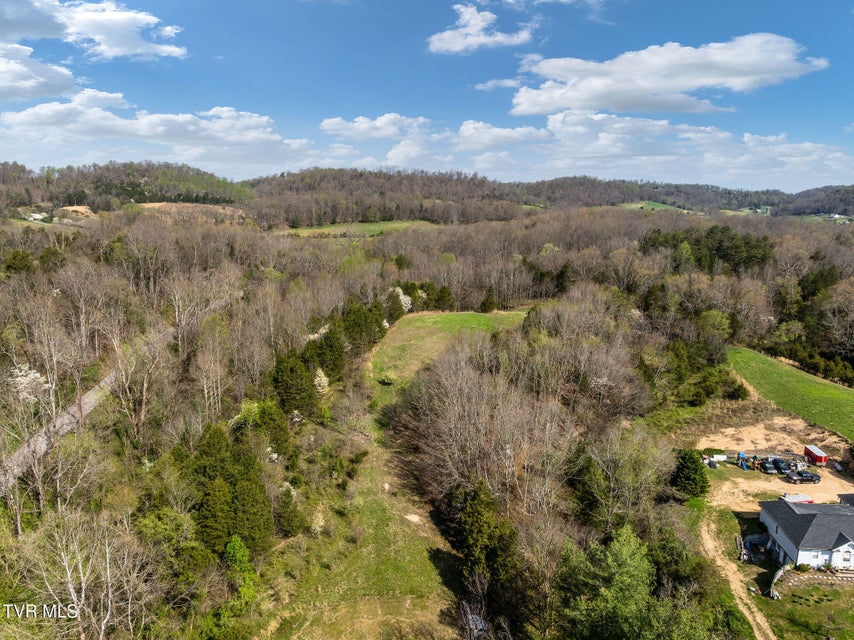 Photo #17: 000 Horseshoe Bend Road