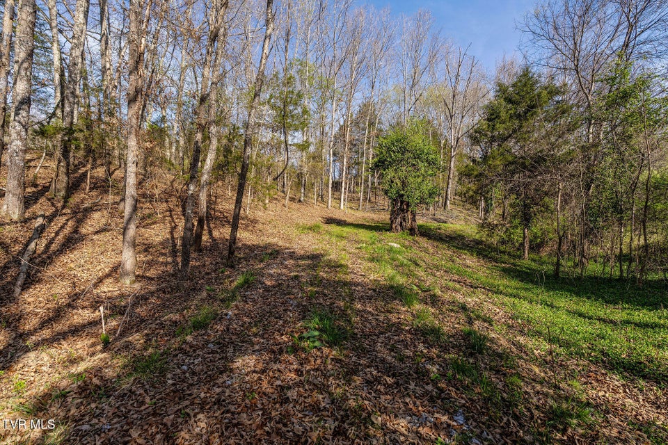 Photo #27: 000 Horseshoe Bend Road